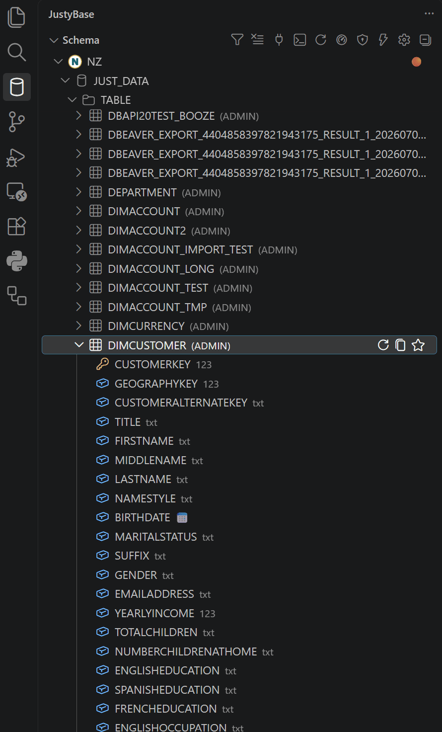 Schema Browser tree with connection, database, schema, and table columns